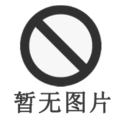HZ鑄鐵砝碼，200公斤鑄鐵砝碼